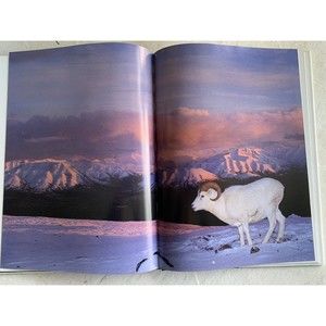 Alaskan Wildlife by Tom Walker, Beautiful Hardcover w/Dust Jacket